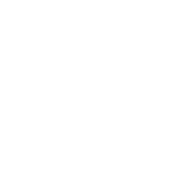IM Logo